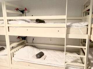 Хостелы Manna Kasha Hostel Сумы Спальное место на двухъярусной кровати в общем номере для мужчин и женщин-6