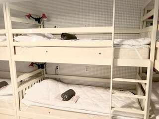 Хостелы Manna Kasha Hostel Сумы Спальное место на двухъярусной кровати в общем номере для мужчин и женщин-24